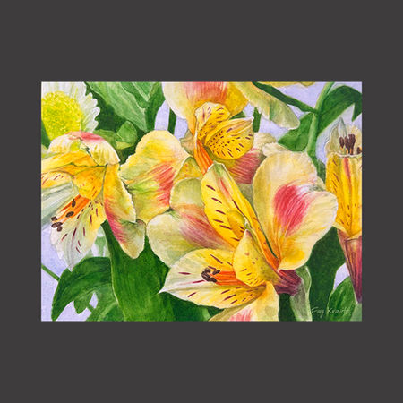 Summer Breeze..Alstroemeria