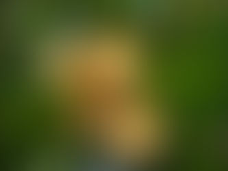 Sept. Full Moon 2024