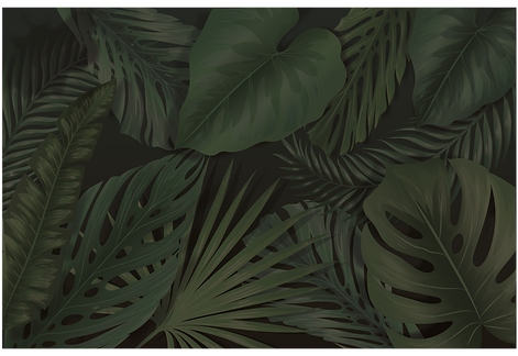 Garden Background.png