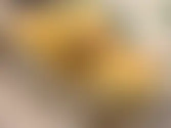 Nicole's Rich and Scrumptious Corn Bread