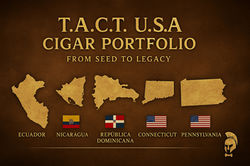 Tactusa final at bottom portfoloi page image_edited