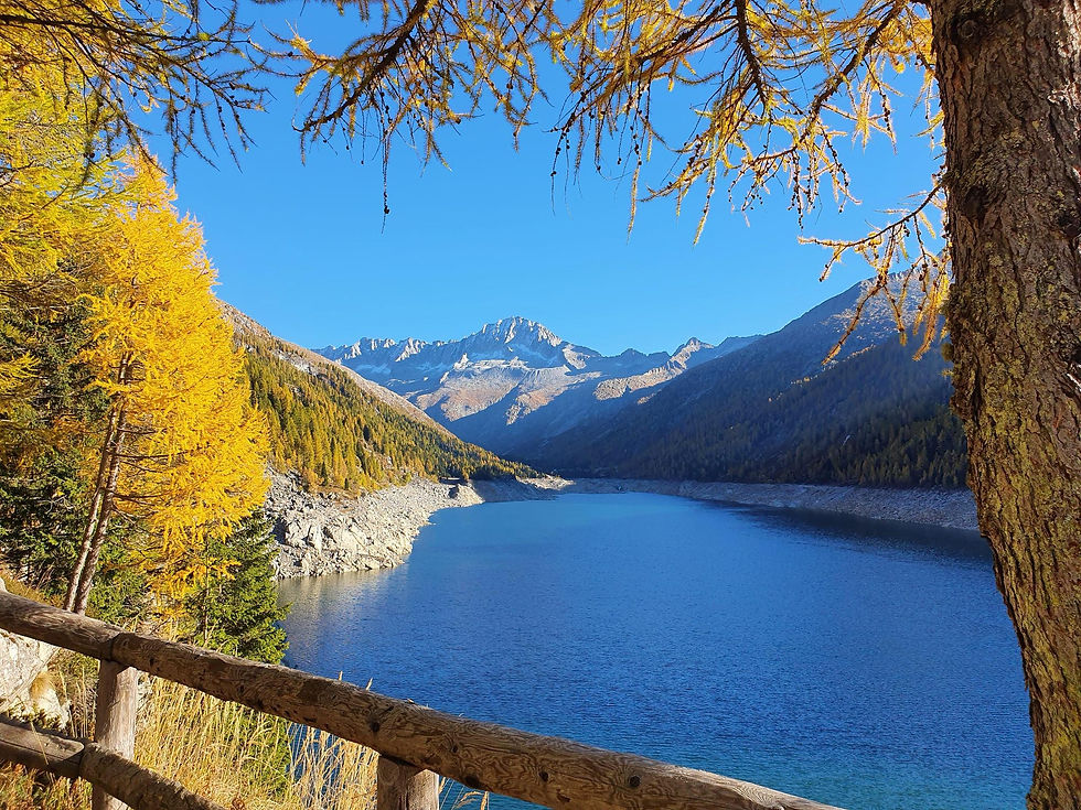 A tutto foliage... autunno in val di fumo (verde)