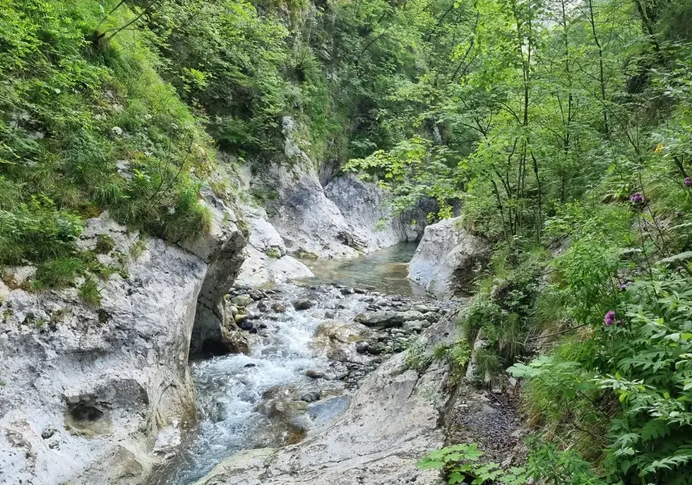 Val Parina Wild (verde)