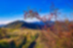 Trekking "La Via del Sale"