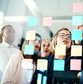 5. Organisation & Führung und Personal (Modul 5)