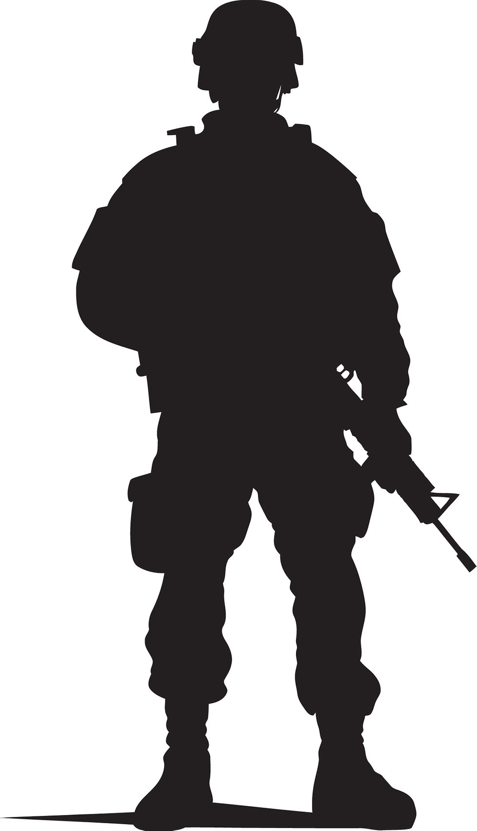 Meister für Schutz und Sicherheit - Soldat