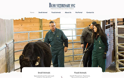 Bush Veterinary Services