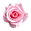 Single Pink Rose.png