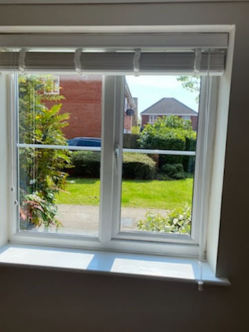 View of a garden through an open double-glazed window from inside a room
