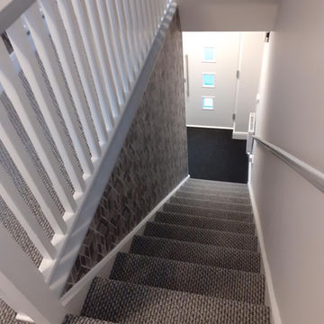 A carpeted staircase
