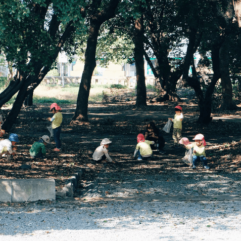 Children in hats playing and exploring among trees in a shaded outdoor area