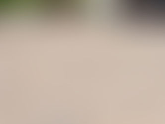 Reliable Block Paving Contractors in Ilfracombe: A Homeowner’s Guide to Choosing the Right Team