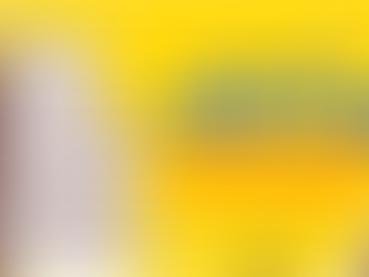 Can your HDB flat safeguard your retirement?