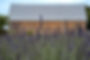 Farm-4.jpg
