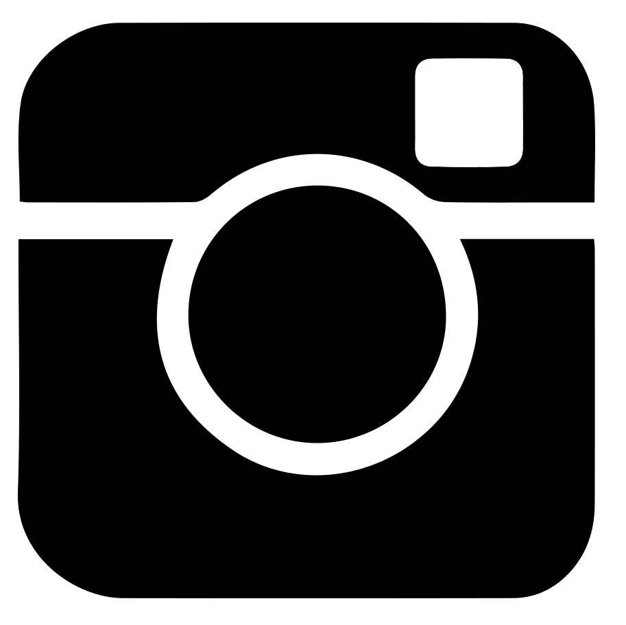 insta_icon