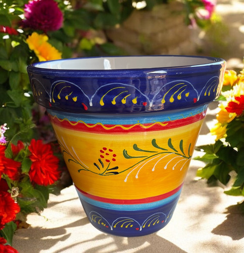size of tomato plant pot Tomato: Red Robin Dwarf  Daisy Hill Farm