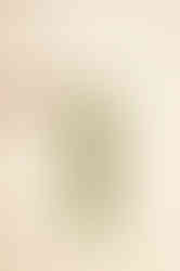 20221023_myRomy_11939