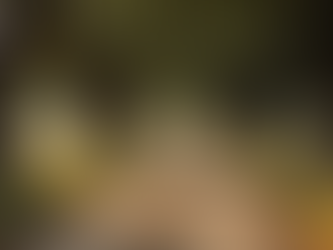 Maintaining Your Property Seasonally: A Hill Country Steward’s Guide to Year-Round Care