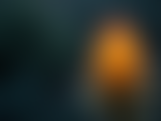 A Blooming Yucca Becomes a Small Ecosystem