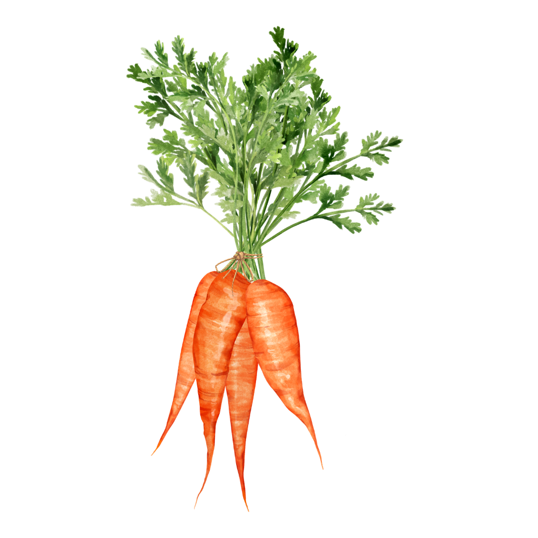 13.png