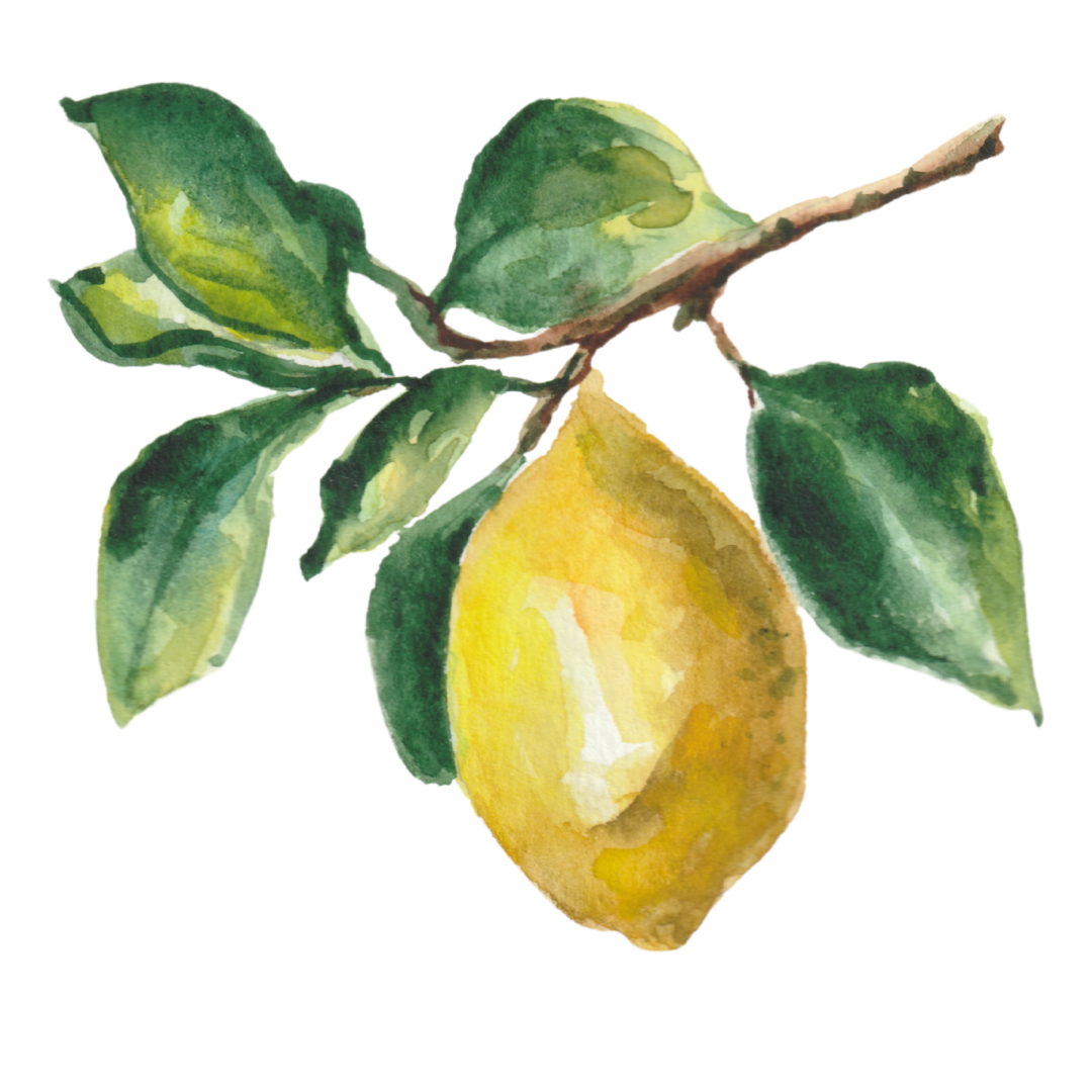 11.png