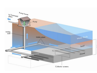 HB Desal Intake Report Released