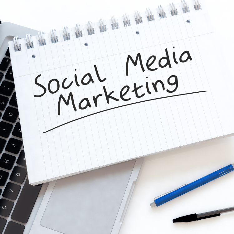 Social Media Advertising Platinum Monthly Plan