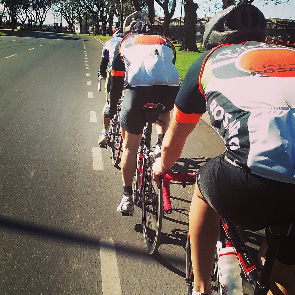 Entrenamientos