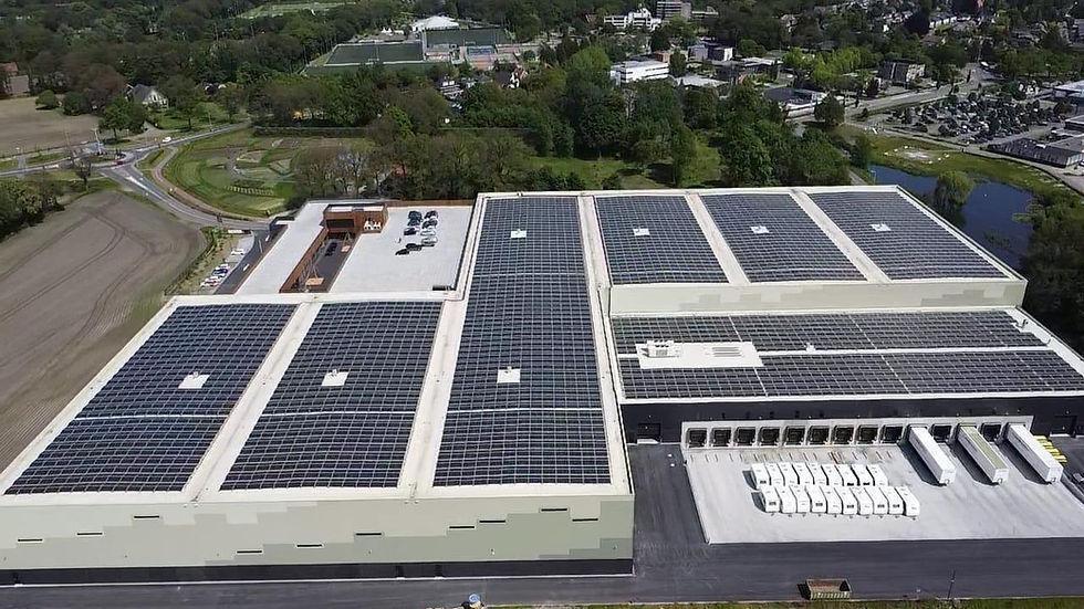 Afbeelding van WhatsApp op 2025-01-26 om 11.47.03_8038f7da.jpg