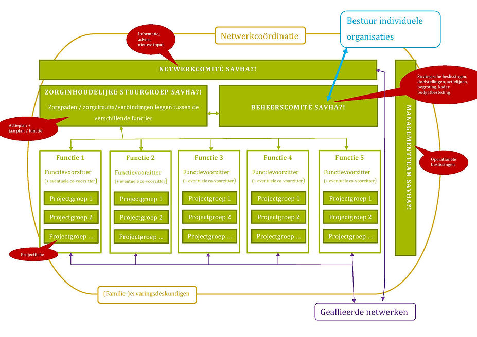 Governancestructuur SaVHA - schema.jpg