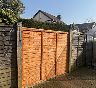 fence 1.jpeg