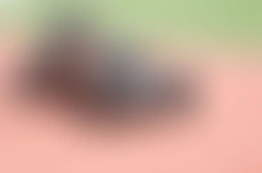 Update #6: Test Run 1