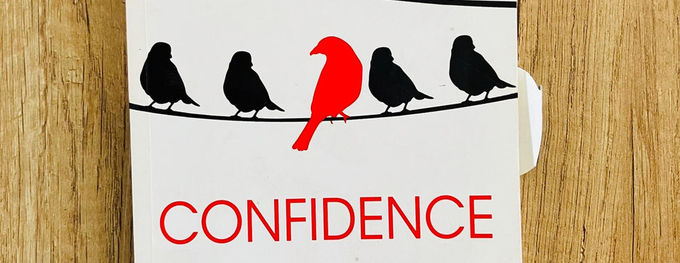 Confidence by Alan Roy McGinnis