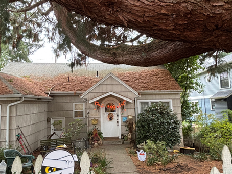 Autumn in the Garden at Sequoia House Seattle