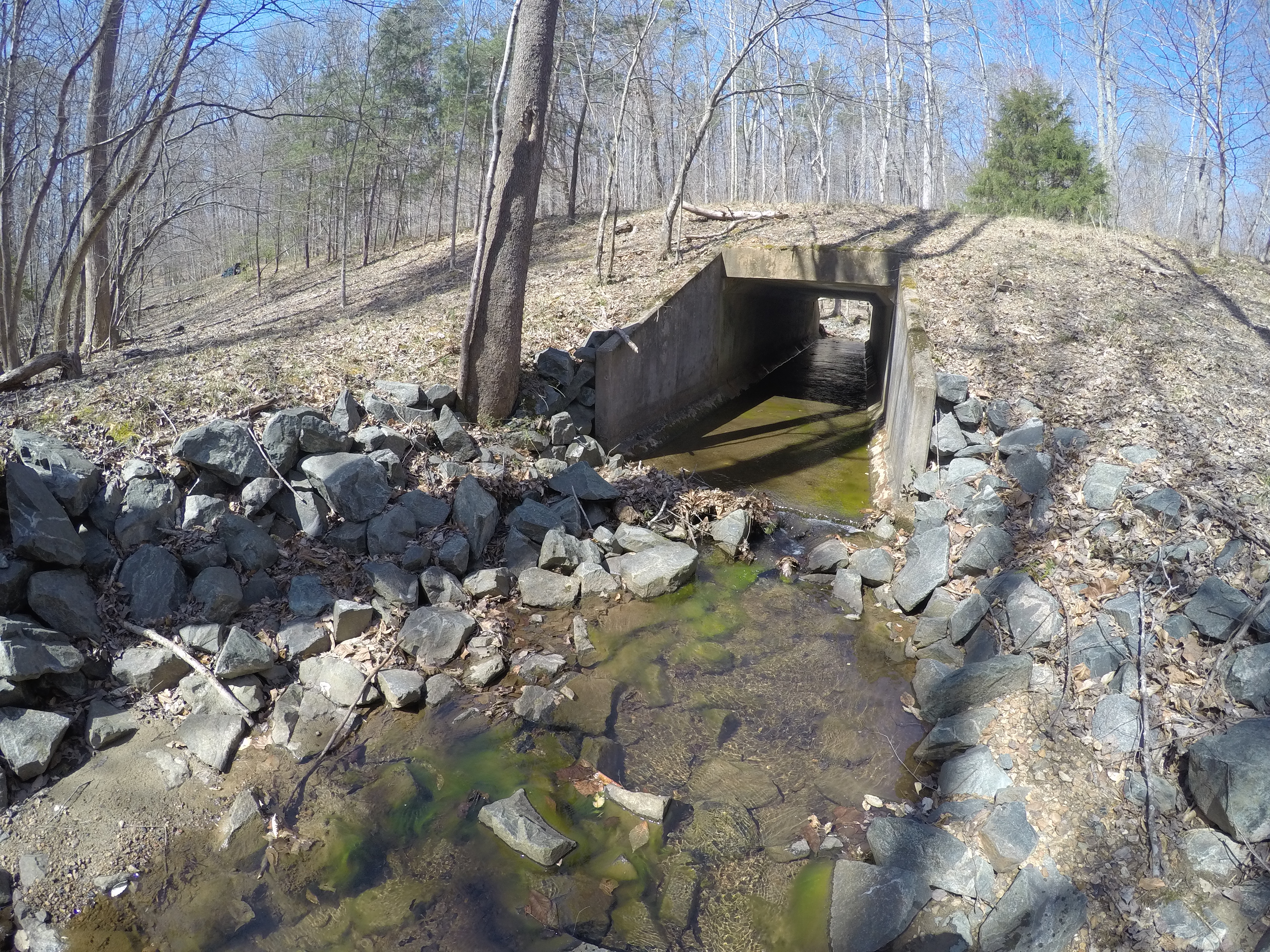 Fish Passage