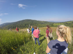 Virginia Working Landscapes Plots