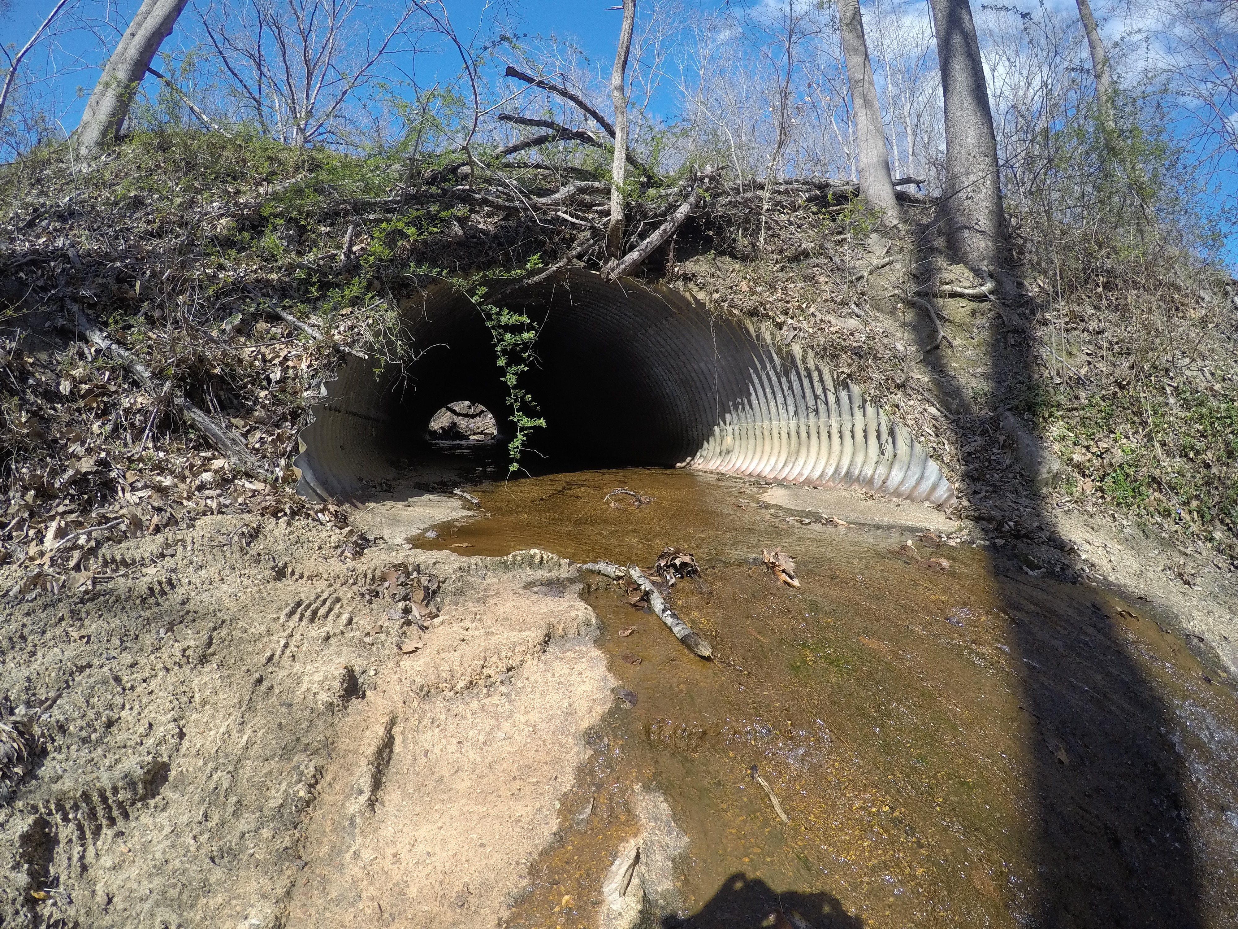 Fish Passage