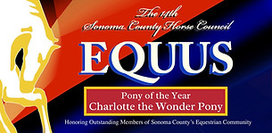 Equi-Ed Affiliations and Awards_edited.jpg