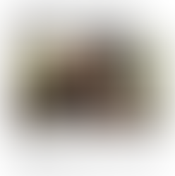 RTV Utrecht in mn atelier