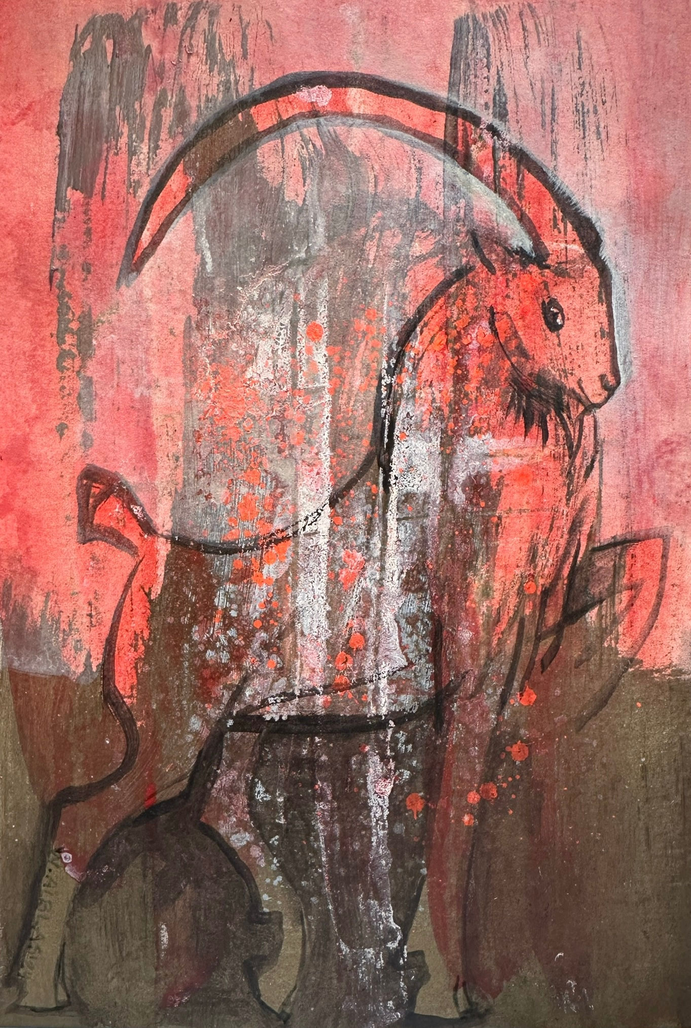 Steenbok rood bruin