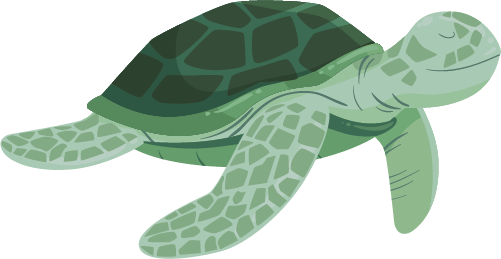 Sea turtle representing ecological restoration in New York City and green nonprofits