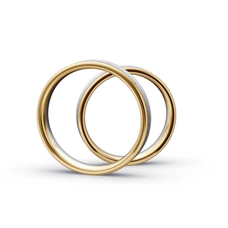 Miniaturbild: Trauringe TL6481 - Gelbgold/Weißgold