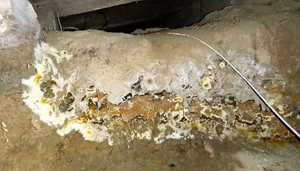 DSCF5629.JPG