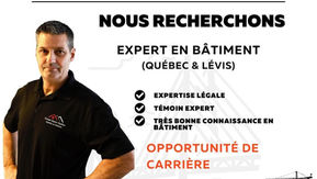 Expert en bâtiment recherché