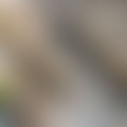 Caves ouvertes - Action de Noël