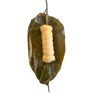 Chikwanga