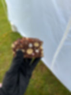 Rocky Road image