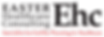 Web-Version-No-Website.png