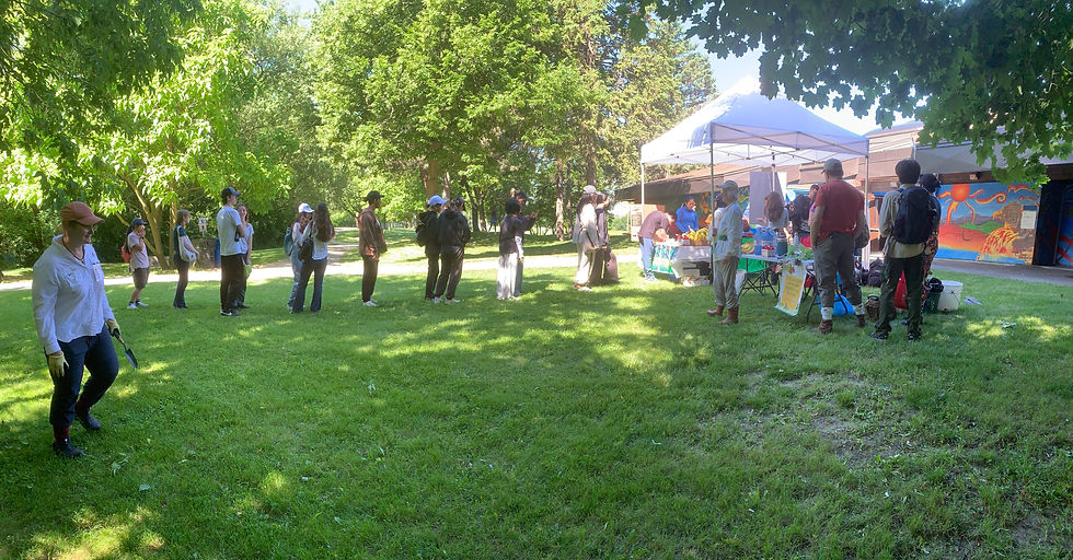 topham-invasive-species-removal-2024-6