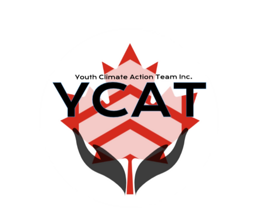 ycatlogo.webp